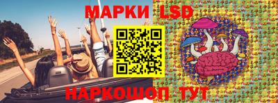 индика Братск