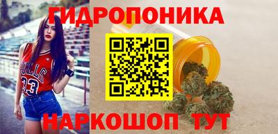 индика Братск