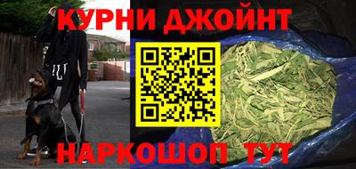 сатива Брянск